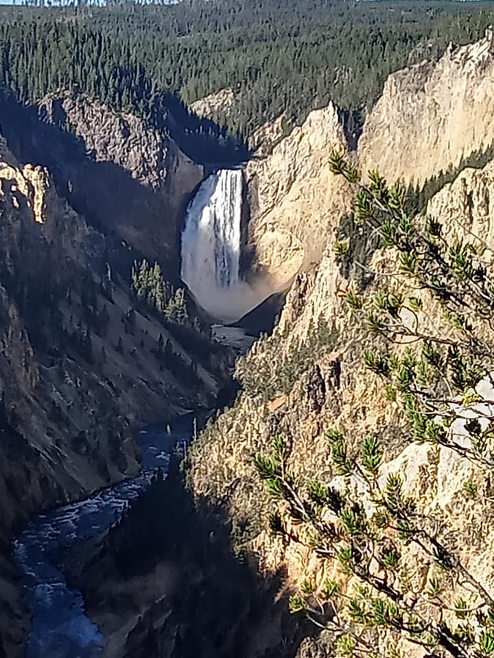 More pictures of the grand canyon of Yellowstone.
